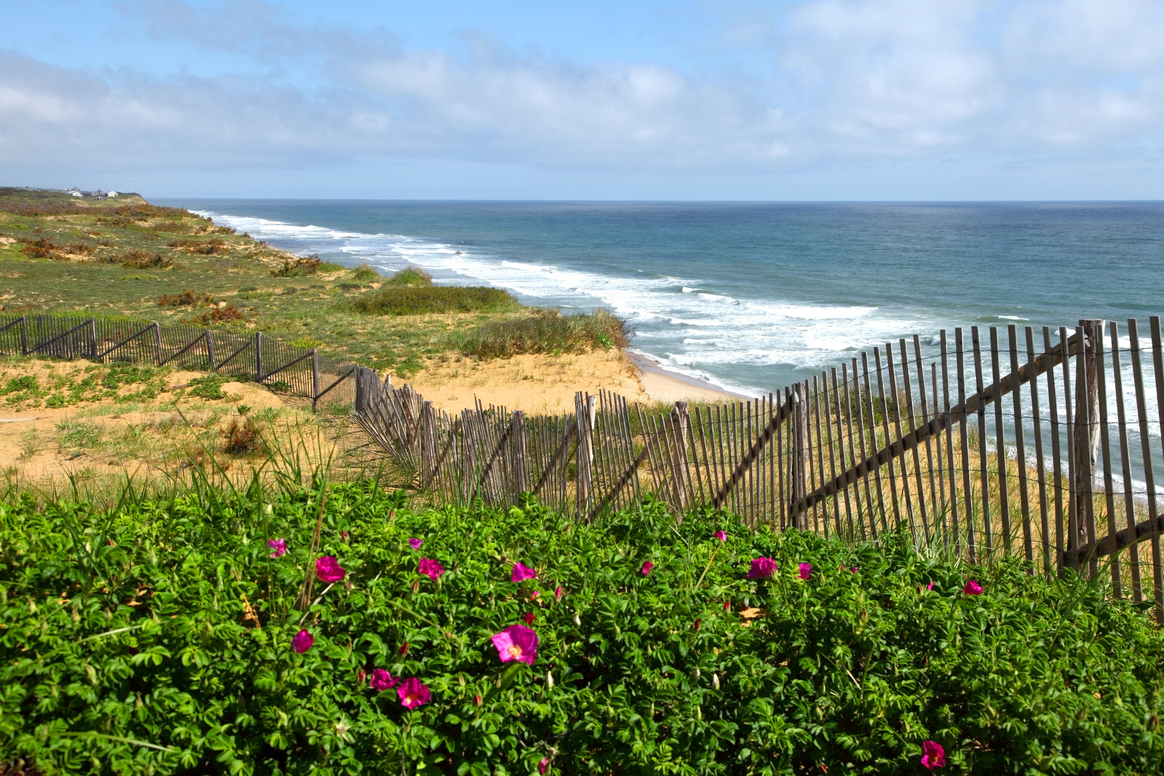 cape cod, massachusetts (2).webp